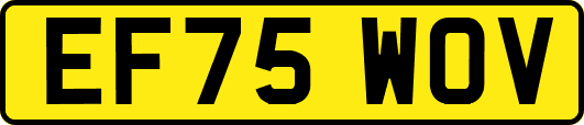 EF75WOV