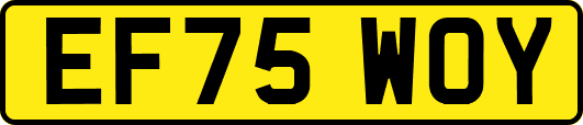 EF75WOY