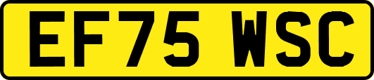 EF75WSC
