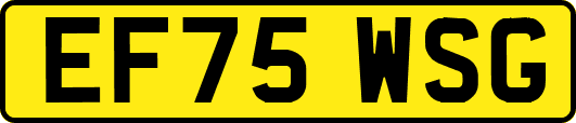 EF75WSG