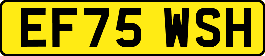 EF75WSH