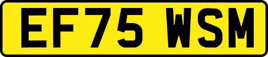 EF75WSM