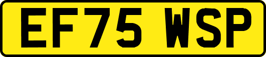 EF75WSP