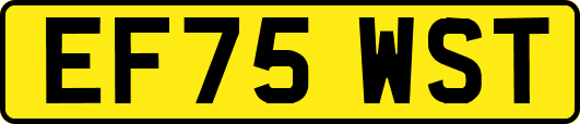 EF75WST