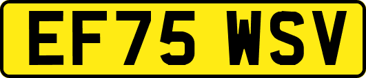 EF75WSV