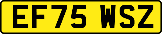 EF75WSZ