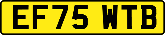EF75WTB