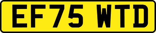 EF75WTD