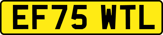 EF75WTL