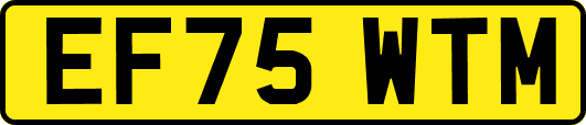 EF75WTM