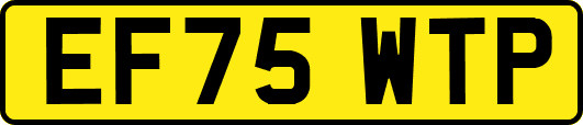 EF75WTP