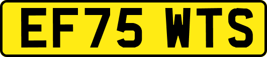 EF75WTS