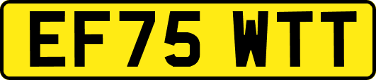 EF75WTT