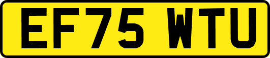 EF75WTU