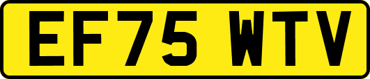 EF75WTV