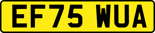 EF75WUA