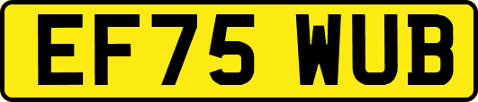 EF75WUB