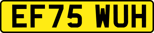 EF75WUH