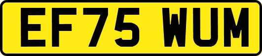 EF75WUM