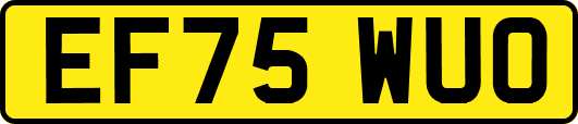 EF75WUO