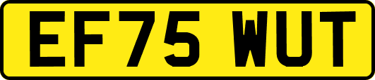 EF75WUT