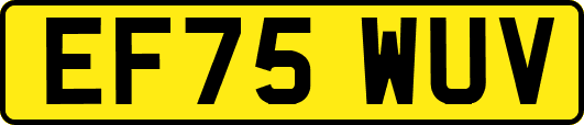 EF75WUV