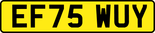EF75WUY