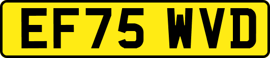 EF75WVD