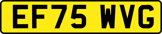 EF75WVG