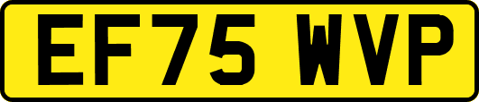 EF75WVP