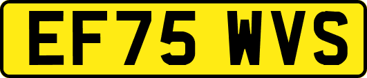 EF75WVS