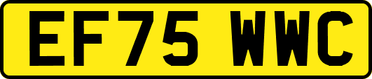EF75WWC
