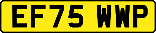 EF75WWP