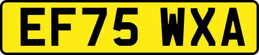 EF75WXA