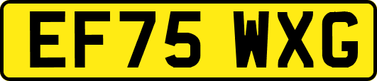 EF75WXG