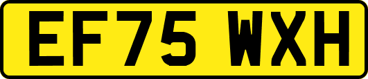 EF75WXH