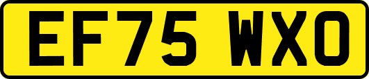 EF75WXO