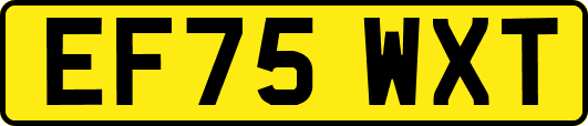 EF75WXT