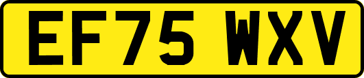 EF75WXV