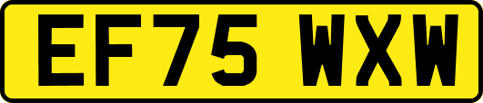 EF75WXW