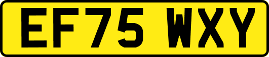 EF75WXY