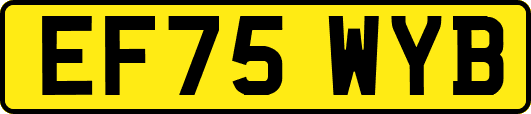 EF75WYB