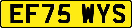 EF75WYS