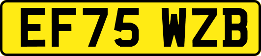 EF75WZB