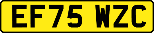 EF75WZC