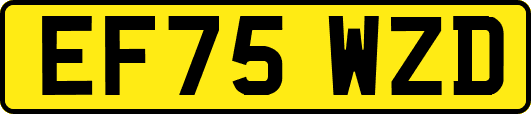 EF75WZD