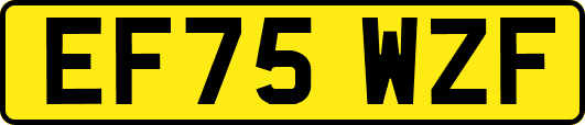 EF75WZF