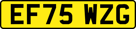 EF75WZG
