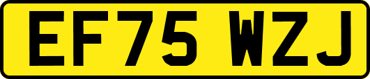 EF75WZJ