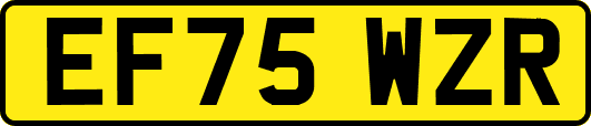 EF75WZR